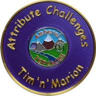 AttributeChallengesTandM