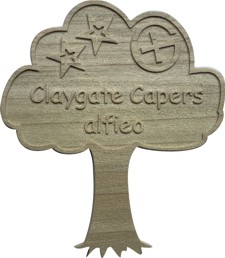 ClaygateCapers