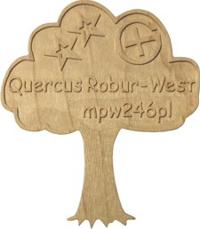 QuercusRoburWest